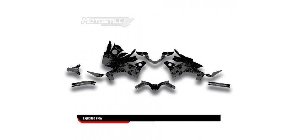 BMW F 900 GS 2024 GRAPHIC SET - DECAL KIT