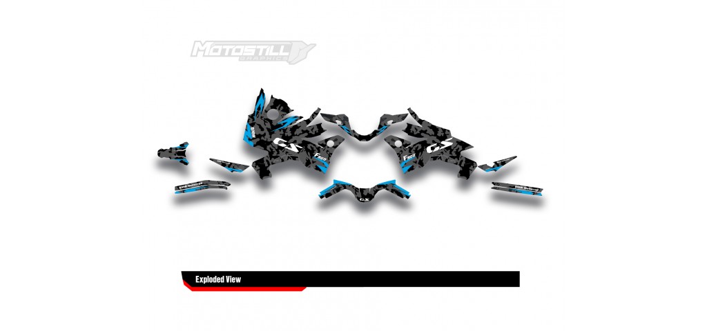 BMW F 900 GS 2024 GRAPHIC SET - DECAL KIT