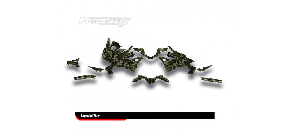 BMW F 900 GS 2024 GRAPHIC SET - DECAL KIT