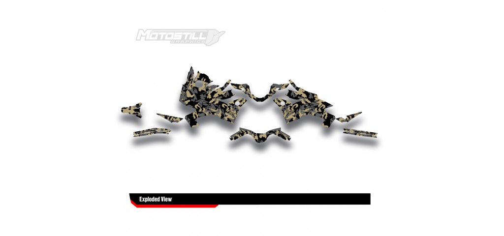 BMW F 900 GS 2024 GRAPHIC SET - DECAL KIT
