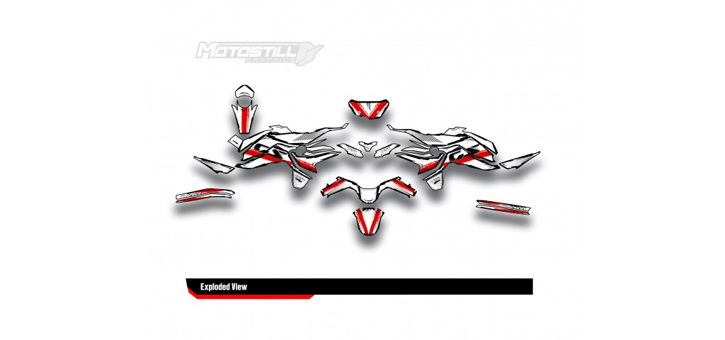 BMW F 750 GS - F 800 GS - F 850 GS  /  2017 - 2025  GRAPHIC SET - DECAL KIT