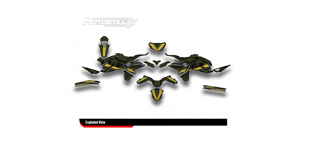 BMW F 750 GS - F 800 GS - F 850 GS  /  2017 - 2025  GRAPHIC SET - DECAL KIT