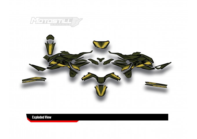 BMW F 750 GS - F 800 GS - F 850 GS  /  2017 - 2025  GRAPHIC SET - DECAL KIT