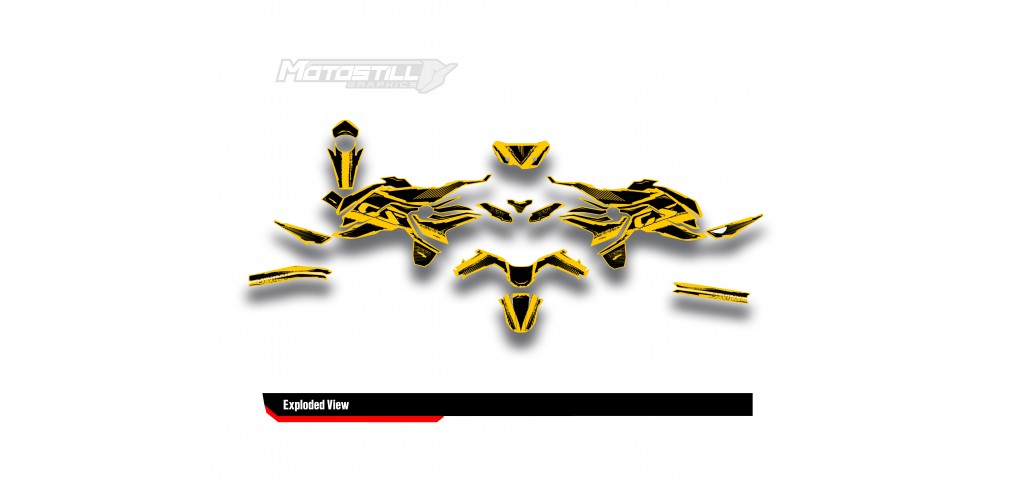 BMW F 750 GS - F 800 GS - F 850 GS  /  2017 - 2025  GRAPHIC SET - DECAL KIT