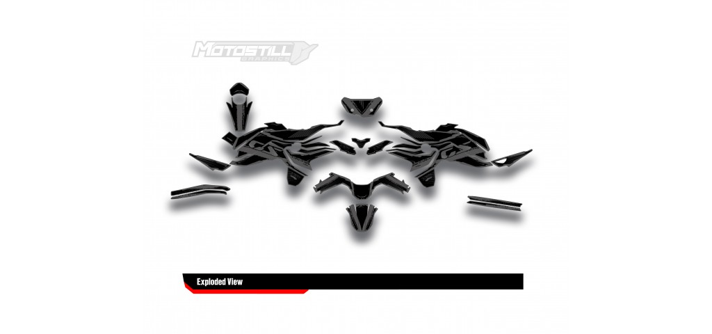 BMW F 750 GS - F 800 GS - F 850 GS  /  2017 - 2025  GRAPHIC SET - DECAL KIT