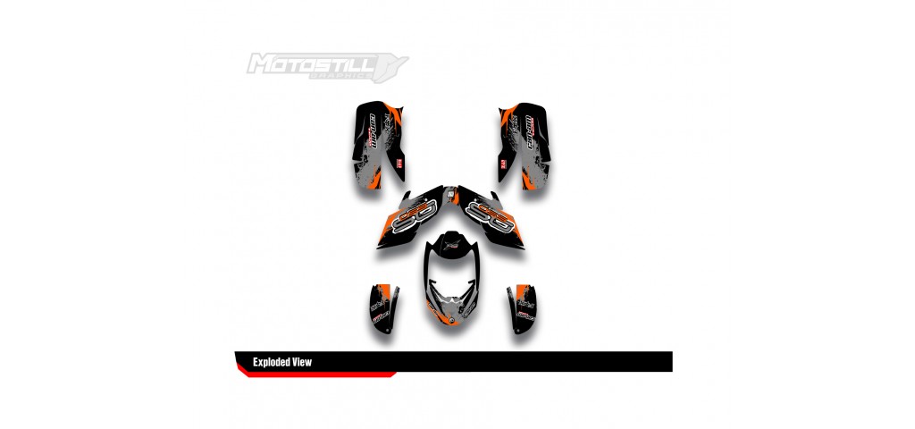 CAN-AM DS 650 GRAPHIC SET - DECAL KIT