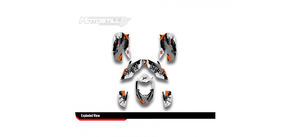 CAN-AM DS 650 GRAPHIC SET - DECAL KIT