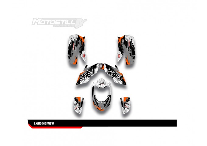 CAN-AM DS 650 GRAPHIC STICKER SET - DECAL KIT